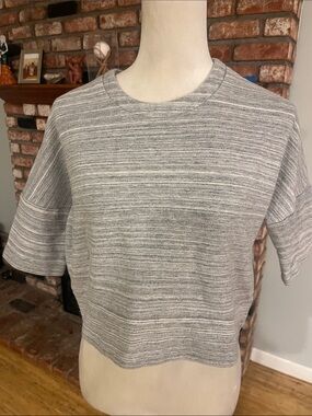 10 Crosby Derek Lam Gray Striped Short-Sleeve Knit Top